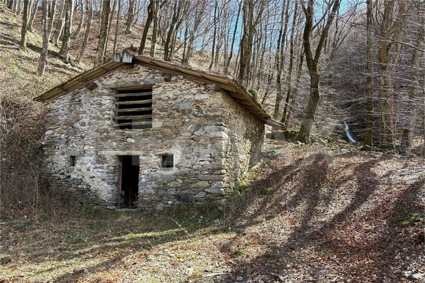 Authentic nature, silence and space to live - Photo 10 of 13