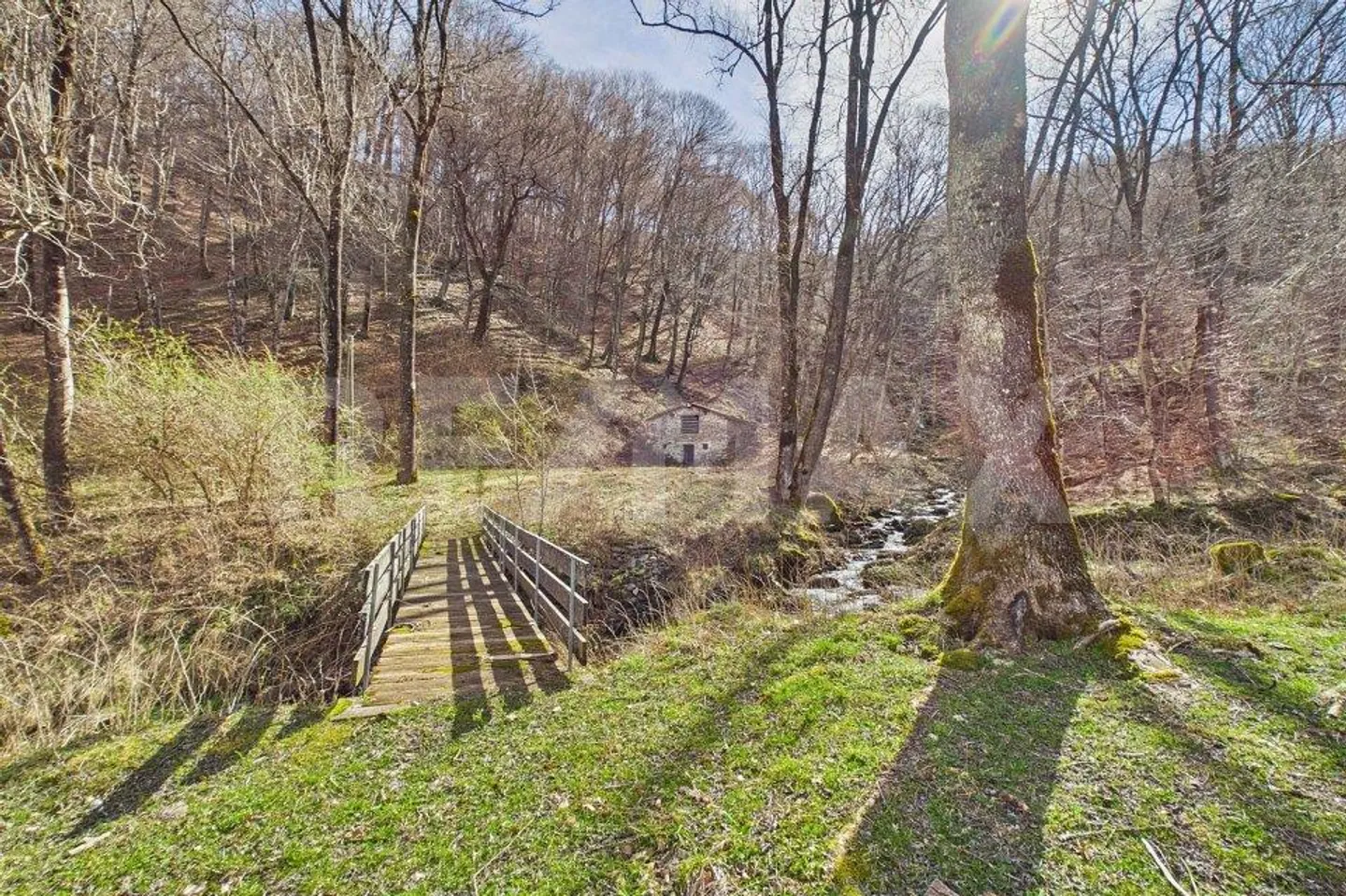 Authentic nature, silence and space to live - Photo 1 of 13