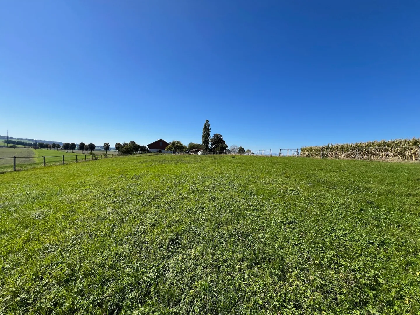 Horse farm with 220m² living space + renovated paddock - Photo 13 of 13