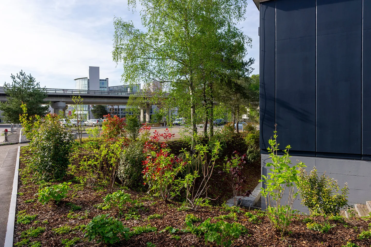 Kultur-Räume in Bülach Nord mit Industriecharme - Foto 6 von 7