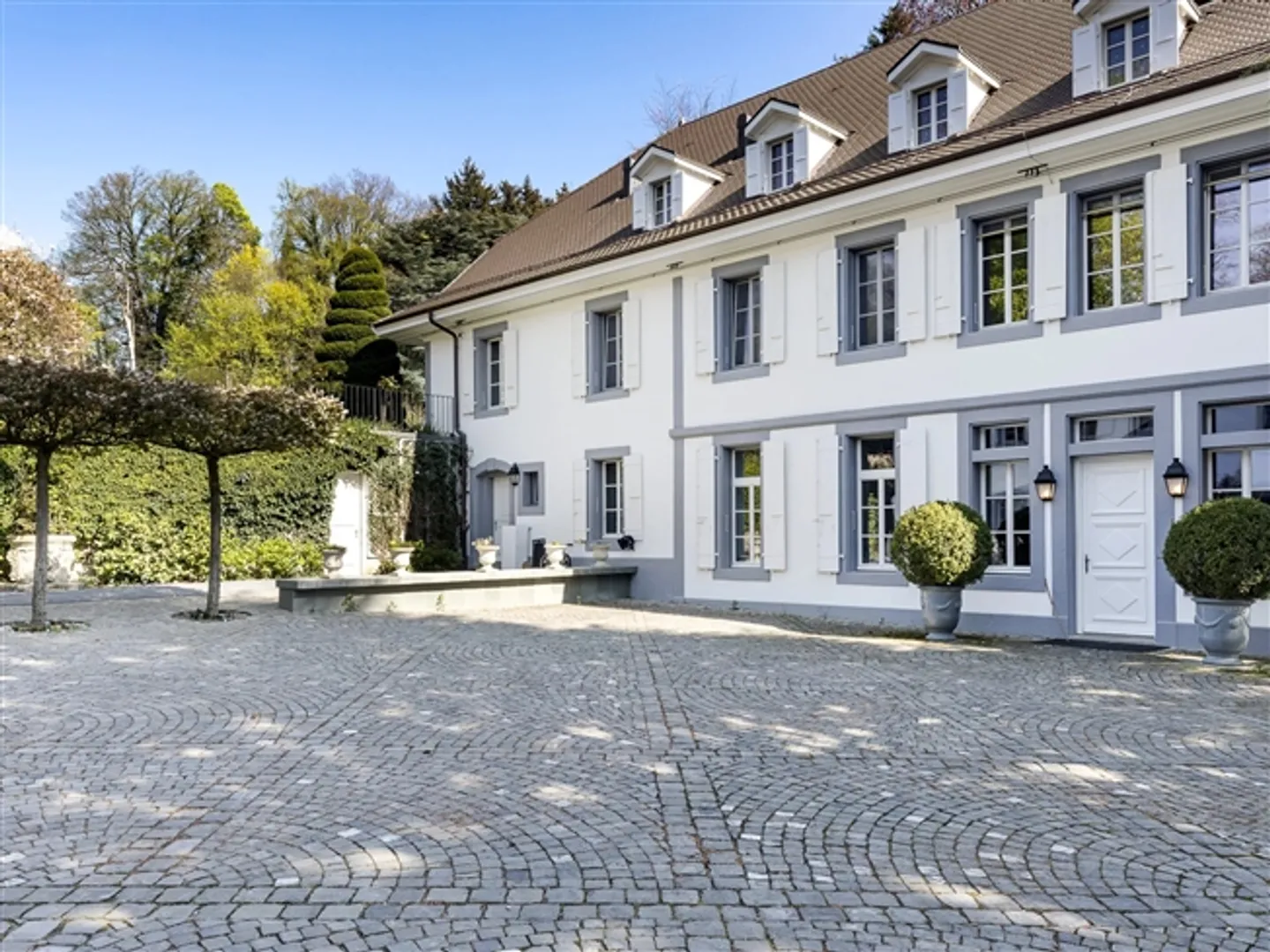 Magnificent, completely renovated mansion - Photo 3 of 20