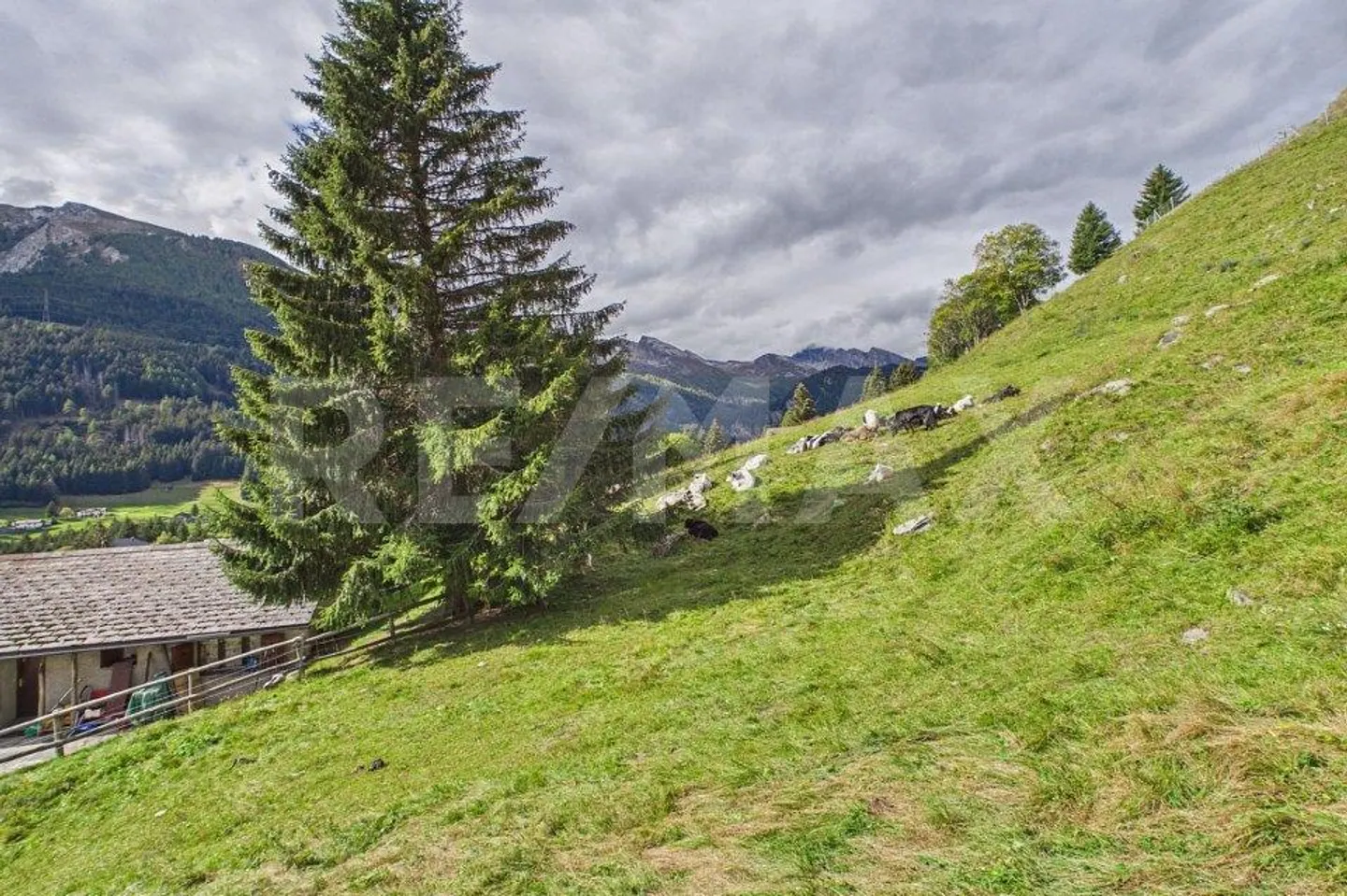 Grisons - Terrain constructible avec vue panoramique sur les montagnes - Photo 2 sur 13
