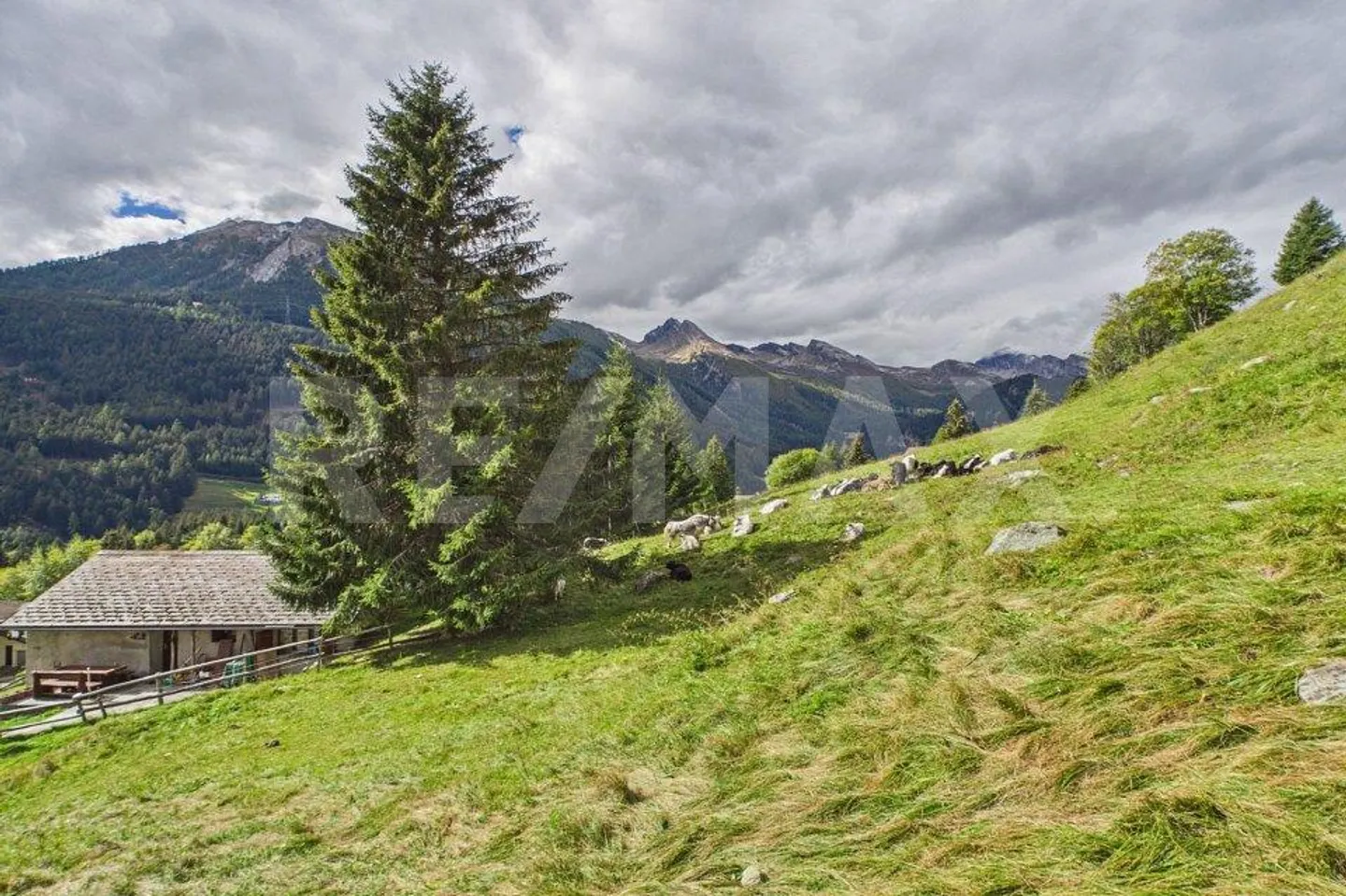 Grisons - Terrain constructible avec vue panoramique sur les montagnes - Photo 3 sur 13