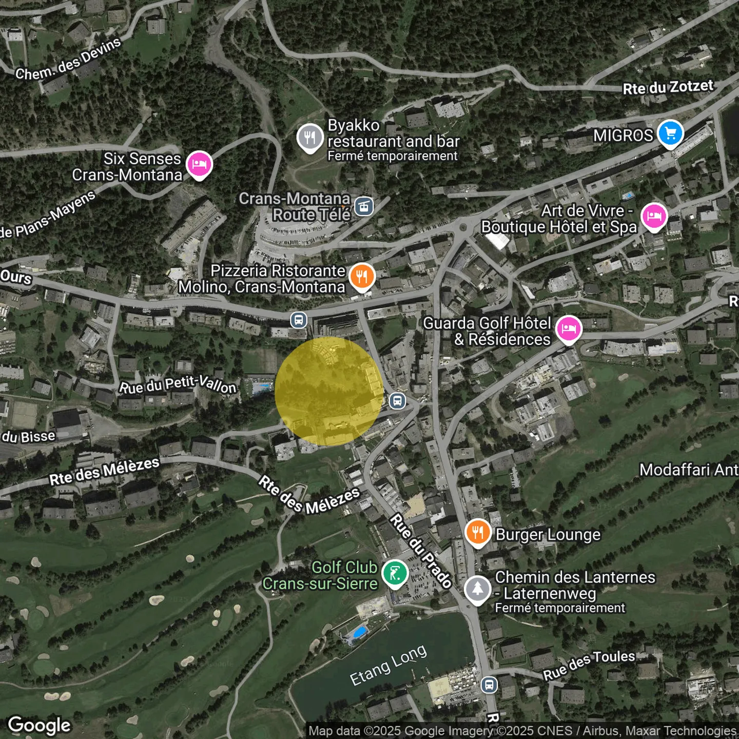 4000. Exceptional Penthouse in the Heart of Crans - Photo 19 of 20