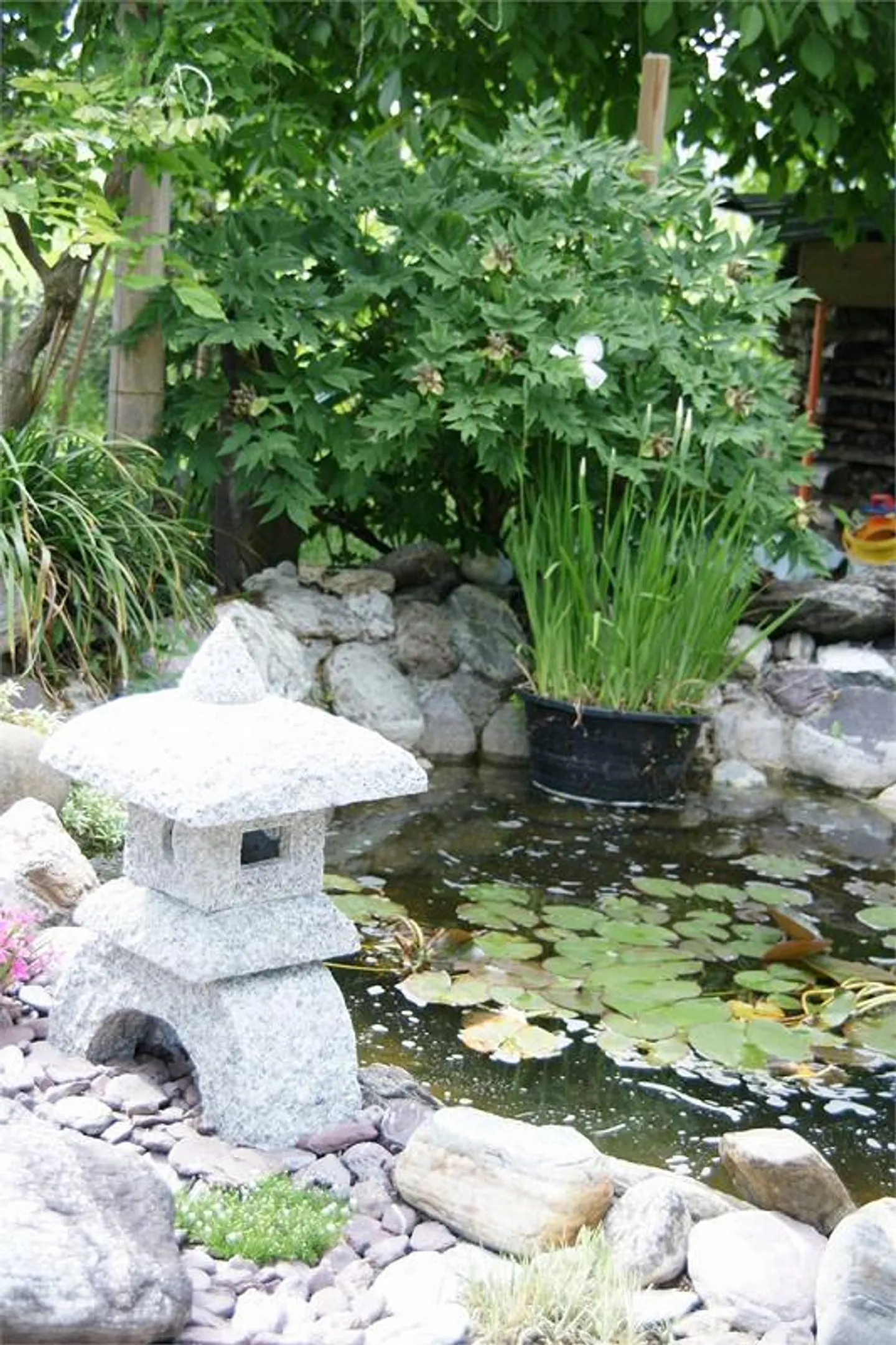 Grand et lumineux appartement de 5 pièces avec poêle suédois, jardin d'hiver, balcon - Photo 21 sur 26
