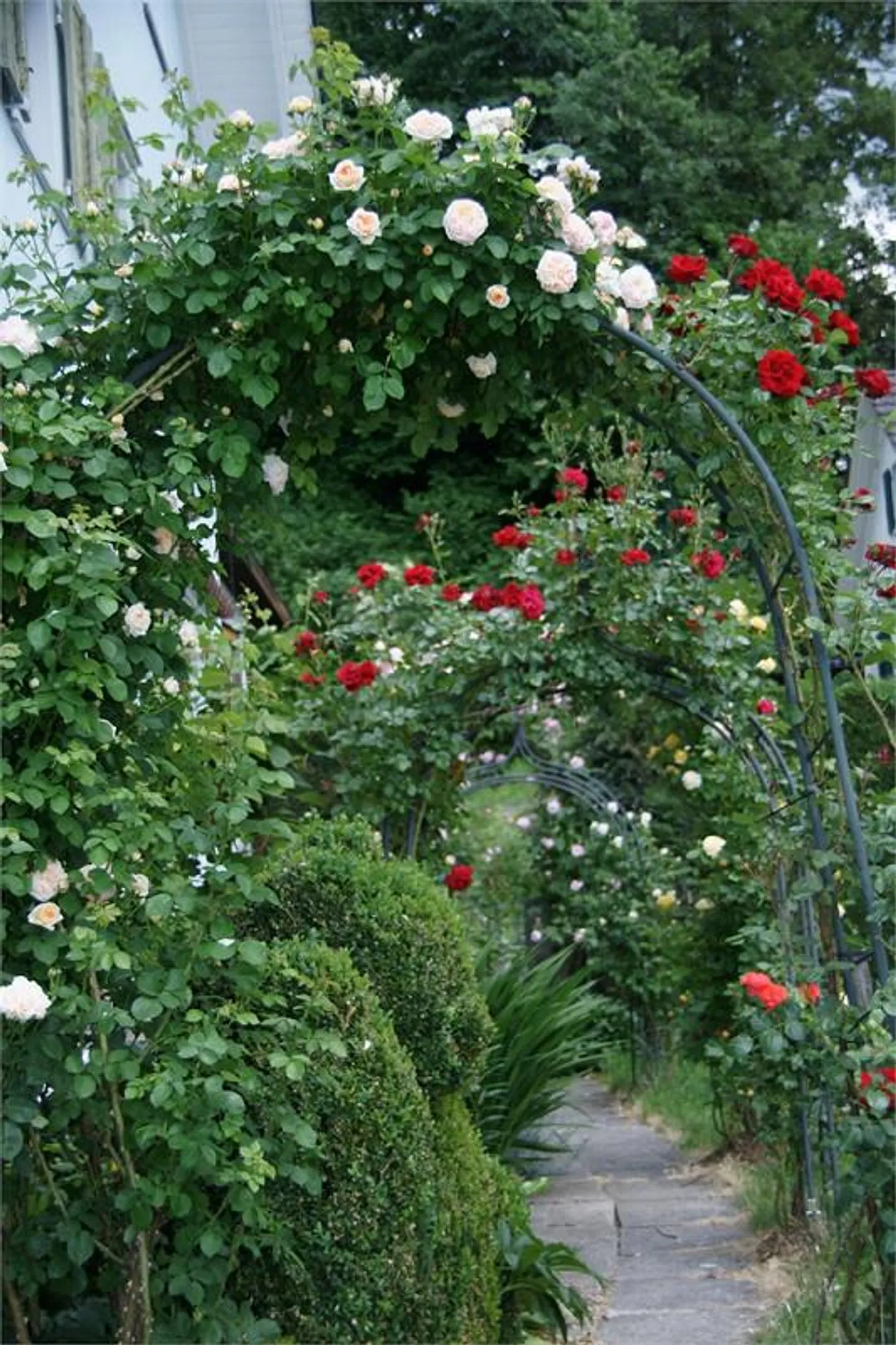 Grand et lumineux appartement de 5 pièces avec poêle suédois, jardin d'hiver, balcon - Photo 22 sur 26