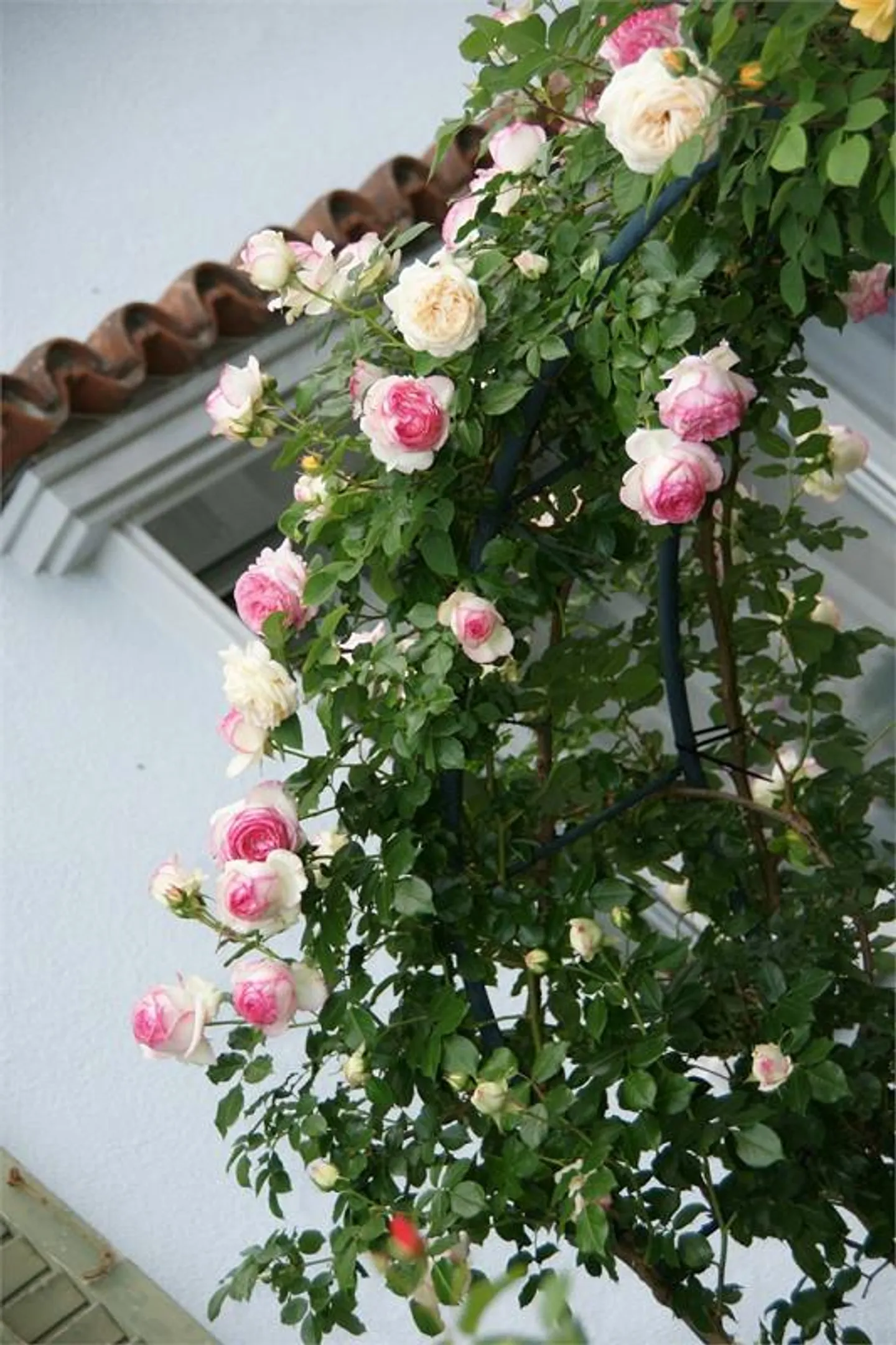 Grand et lumineux appartement de 5 pièces avec poêle suédois, jardin d'hiver, balcon - Photo 26 sur 26