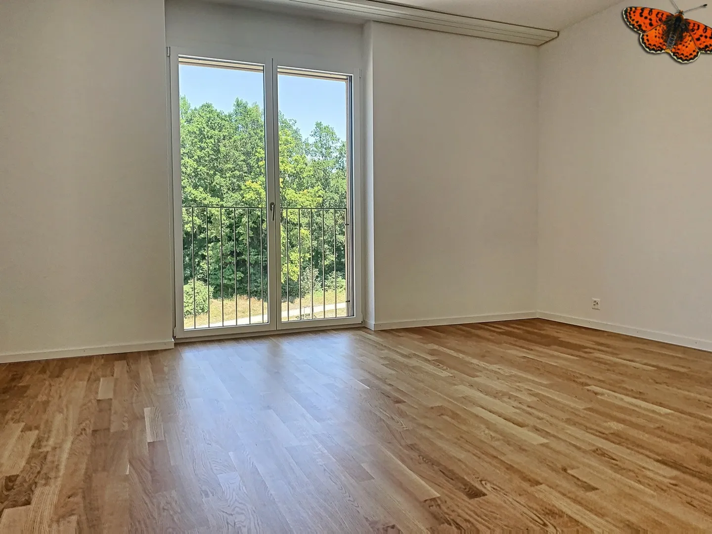 2-Zimmer-Wohnung - Dachgeschoss - Foto 6 von 8