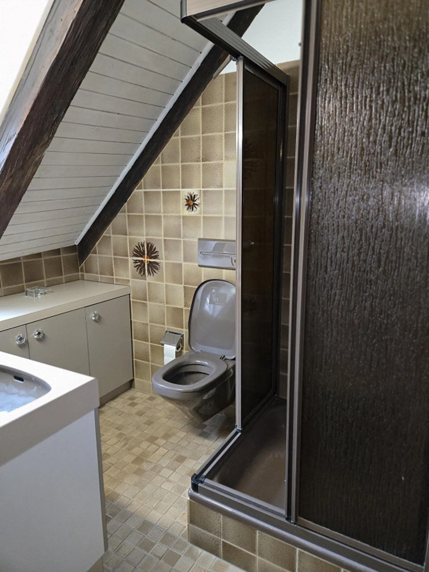 Stylish 4.5 Room Apartment in the Heart of Schaffhausen - Photo 7 of 11