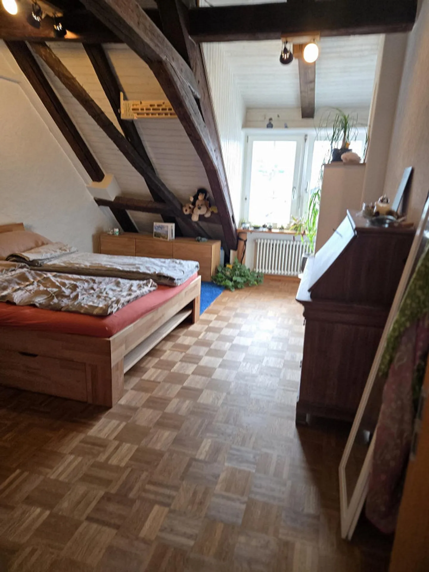 Stylish 4.5 Room Apartment in the Heart of Schaffhausen - Photo 4 of 11