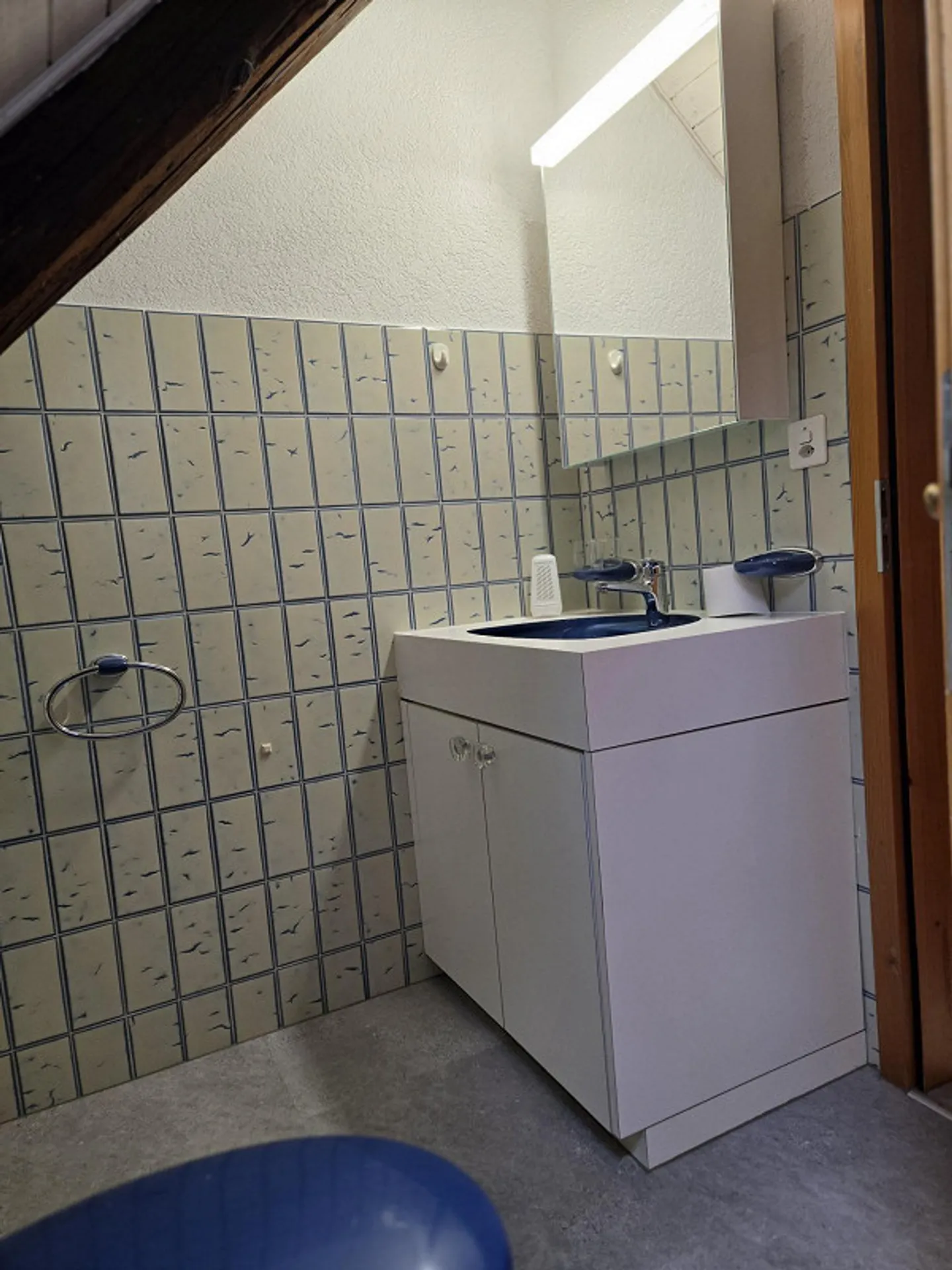 Stylish 4.5 Room Apartment in the Heart of Schaffhausen - Photo 8 of 11