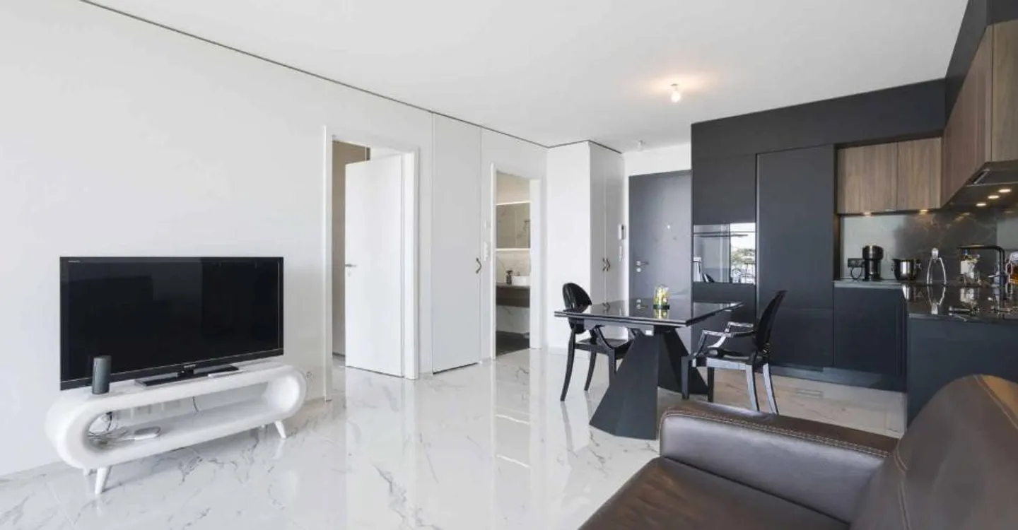 Luxury Attique Apartment with Lake View - Photo 5 of 12