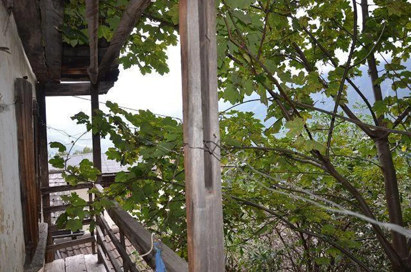 «Grande casa con giardino, stalla e rustico da ristrutturare in una posizione molto soleggiata, tranquilla con bellissima vista» - Foto 12 di 43