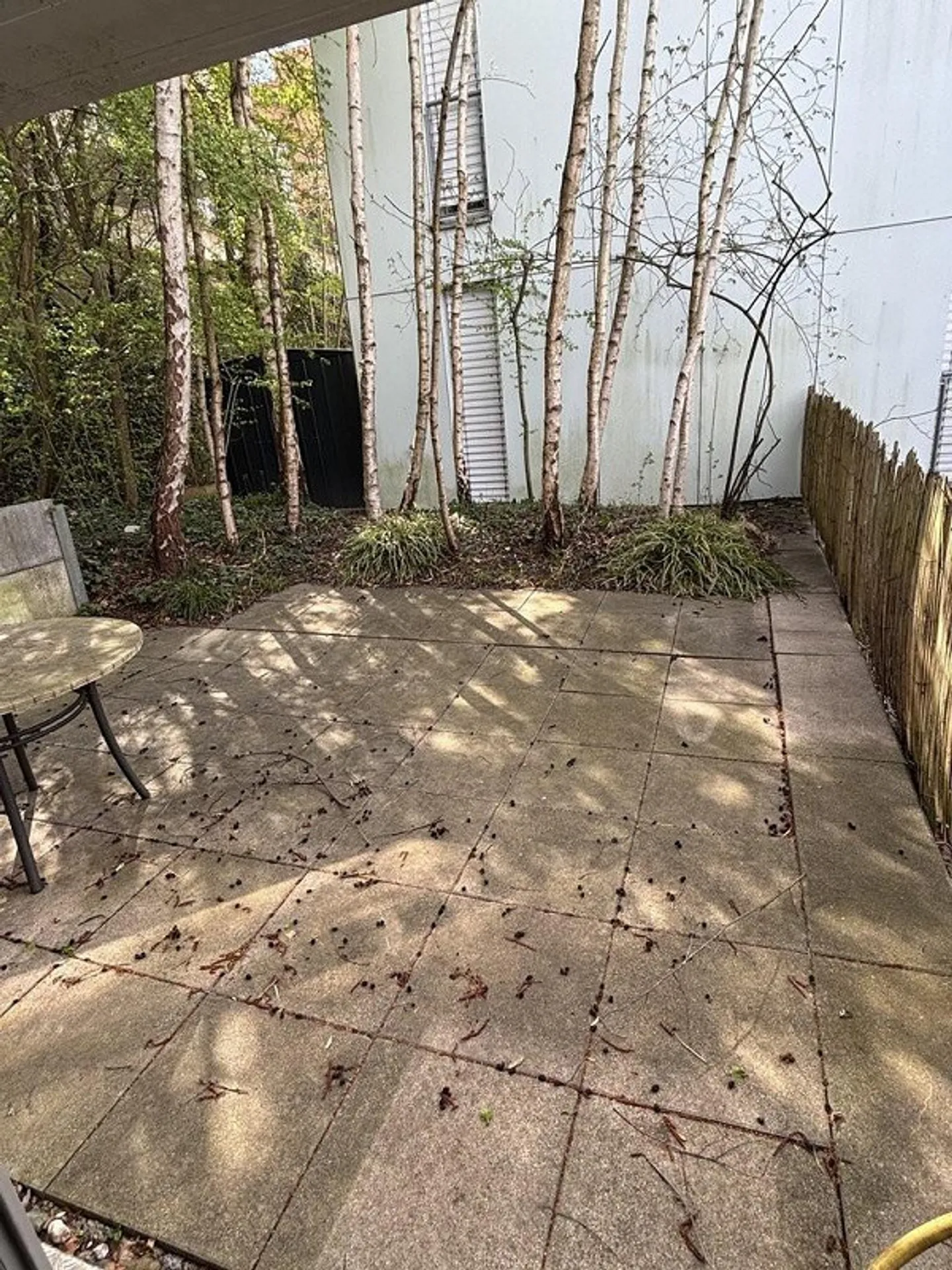 Grosszügiges Studio mit Sitzplatz - Foto 7 von 7