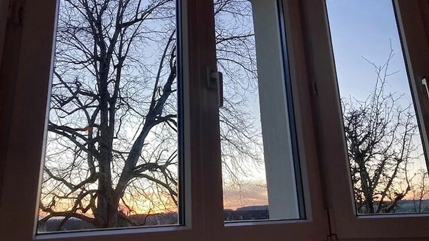 APPARTAMENTO 2½ STANZE A BISCHOFSZELL (TG), ARREDATO, TEMPORANEO - Foto 5 di 5