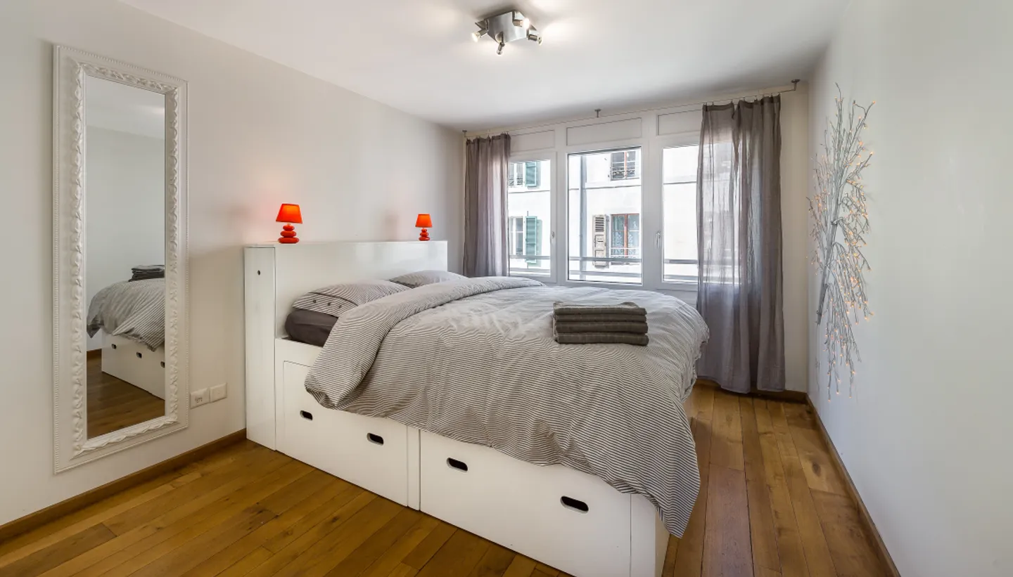 Beautiful Duplex with Two Bedrooms and Large Terrace - Geneva Plainpalais! - Photo 7 of 11