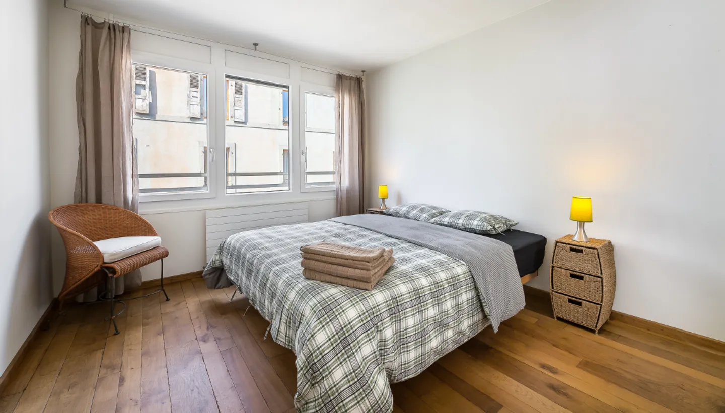 Beautiful Duplex with Two Bedrooms and Large Terrace - Geneva Plainpalais! - Photo 8 of 11