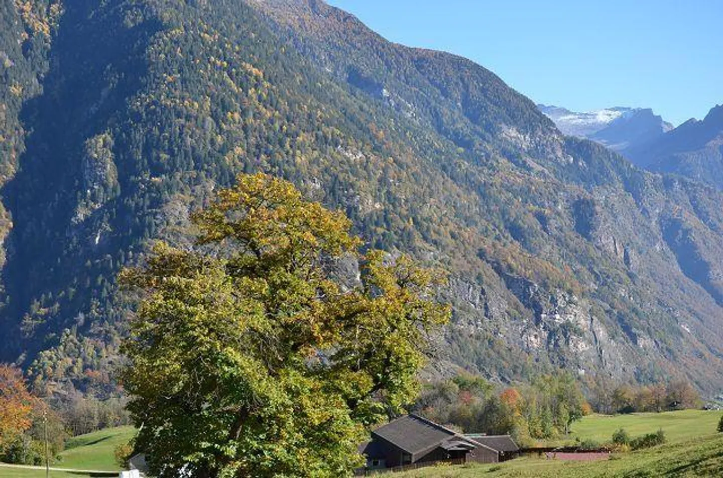 «Grande casa con giardino, stalla e rustico da ristrutturare in una posizione molto soleggiata, tranquilla con bellissima vista» - Foto 35 di 43