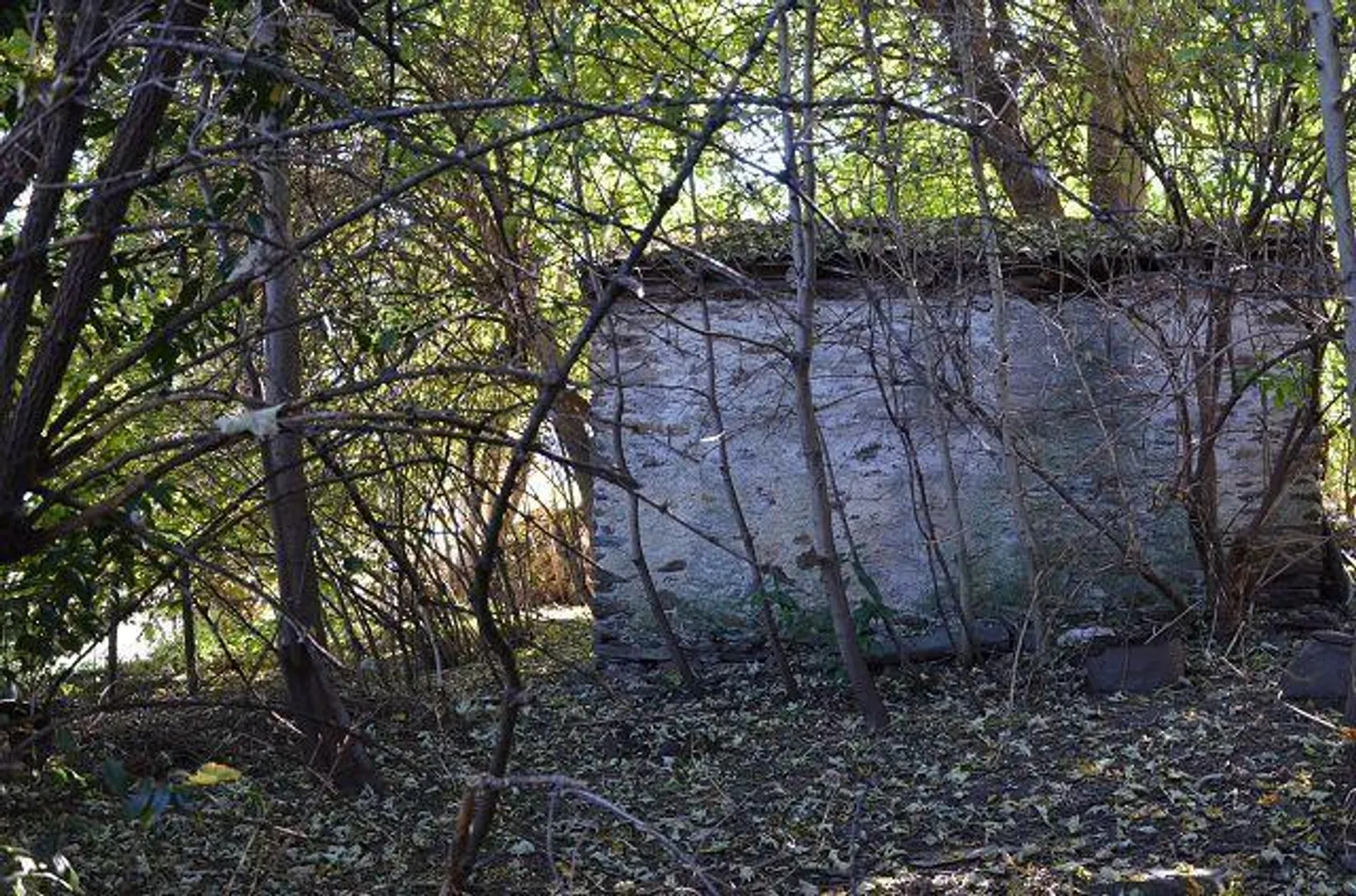 «Grande casa con giardino, stalla e rustico da ristrutturare in una posizione molto soleggiata, tranquilla con bellissima vista» - Foto 22 di 43