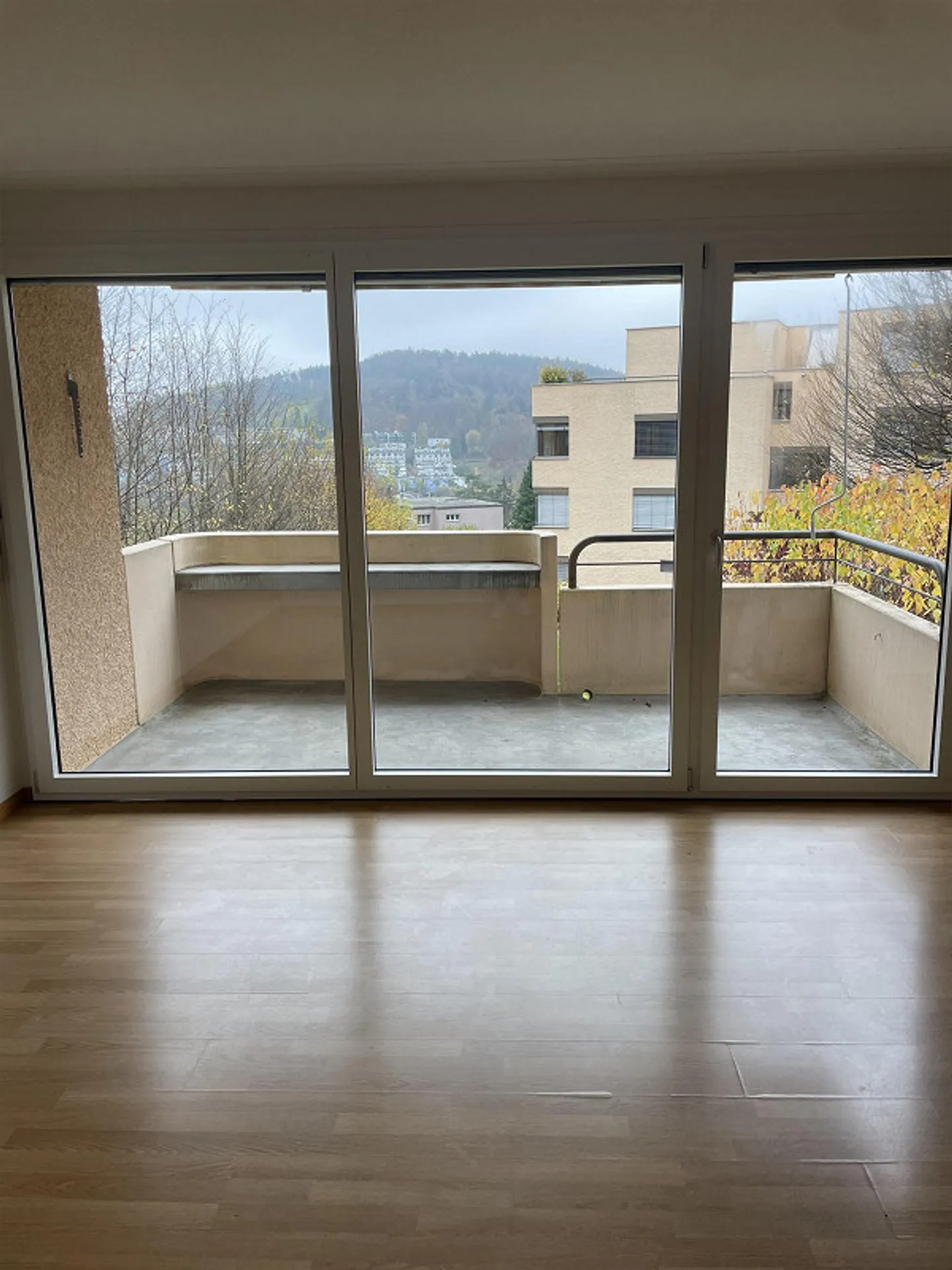 Charmante 1.5-Zimmer-Wohnung mit Balkon in Adliswil - Foto 1 von 5