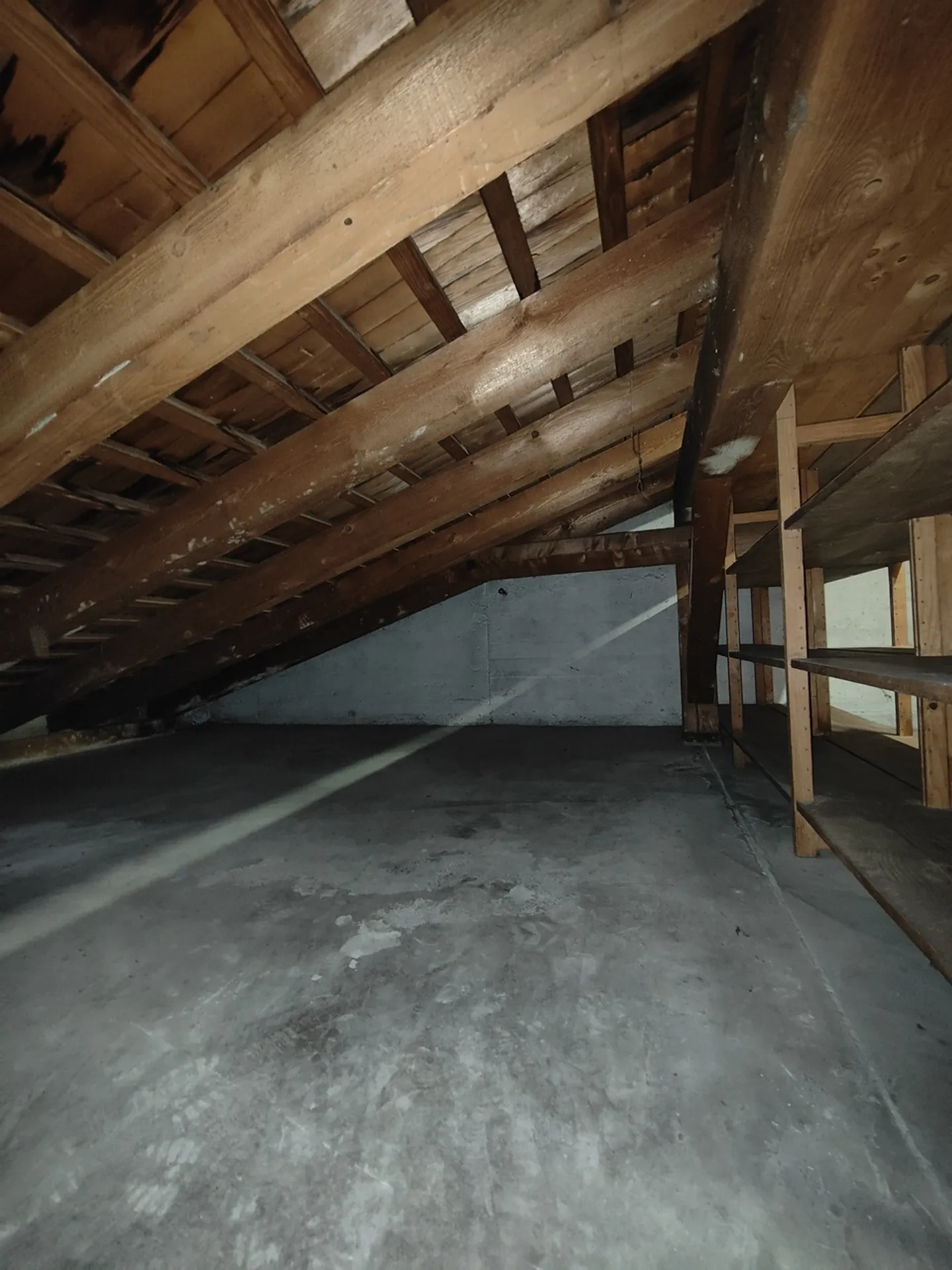31m2 Storage Room (Archive) for Rent Zurich - Attic Near HB - Photo 1 of 10