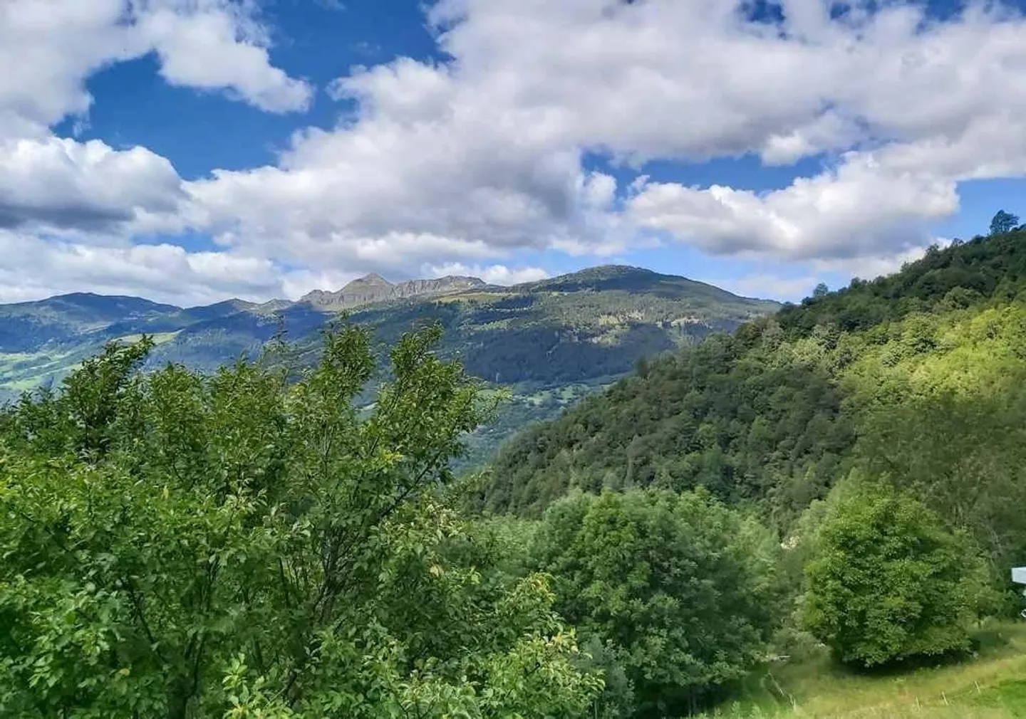 Casa singola in affitto - Foto 23 di 31