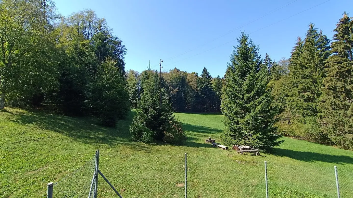 4.5-room chalet – A haven of peace at the gates of Bienne - Photo 4 of 22