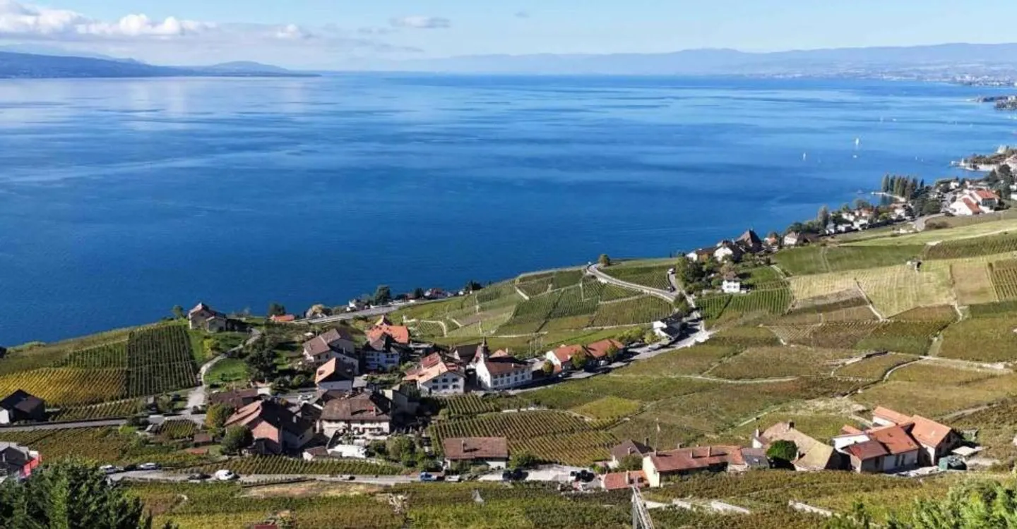 Grandvaux, la maison de Lallex : le Léman en grand angle - Photo 2 sur 9