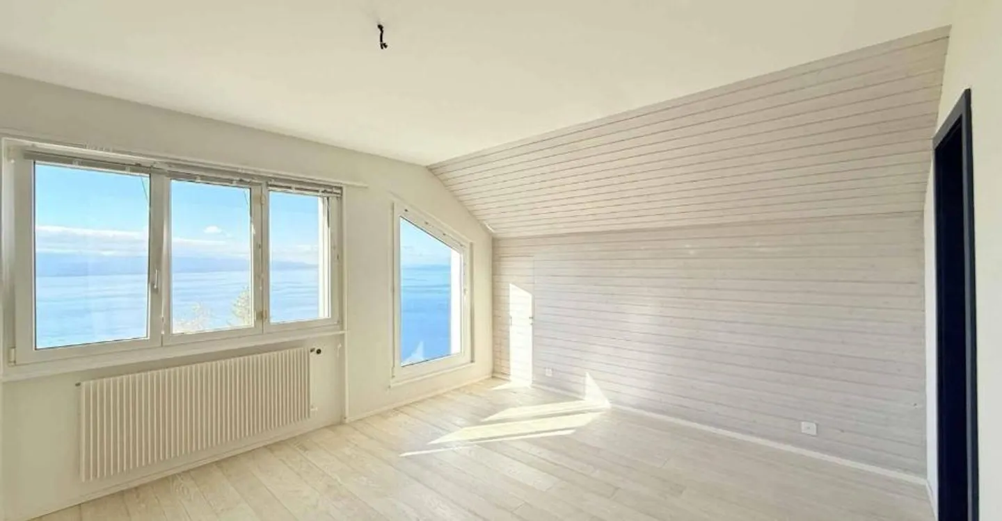 Grandvaux, la maison de Lallex : le Léman en grand angle - Photo 7 sur 9