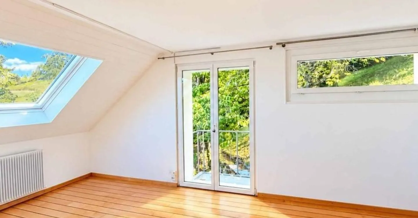 Grandvaux, la maison de Lallex : le Léman en grand angle - Photo 8 sur 9