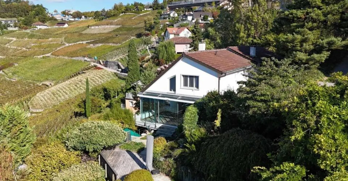 Grandvaux, la maison de Lallex : le Léman en grand angle - Photo 3 sur 9