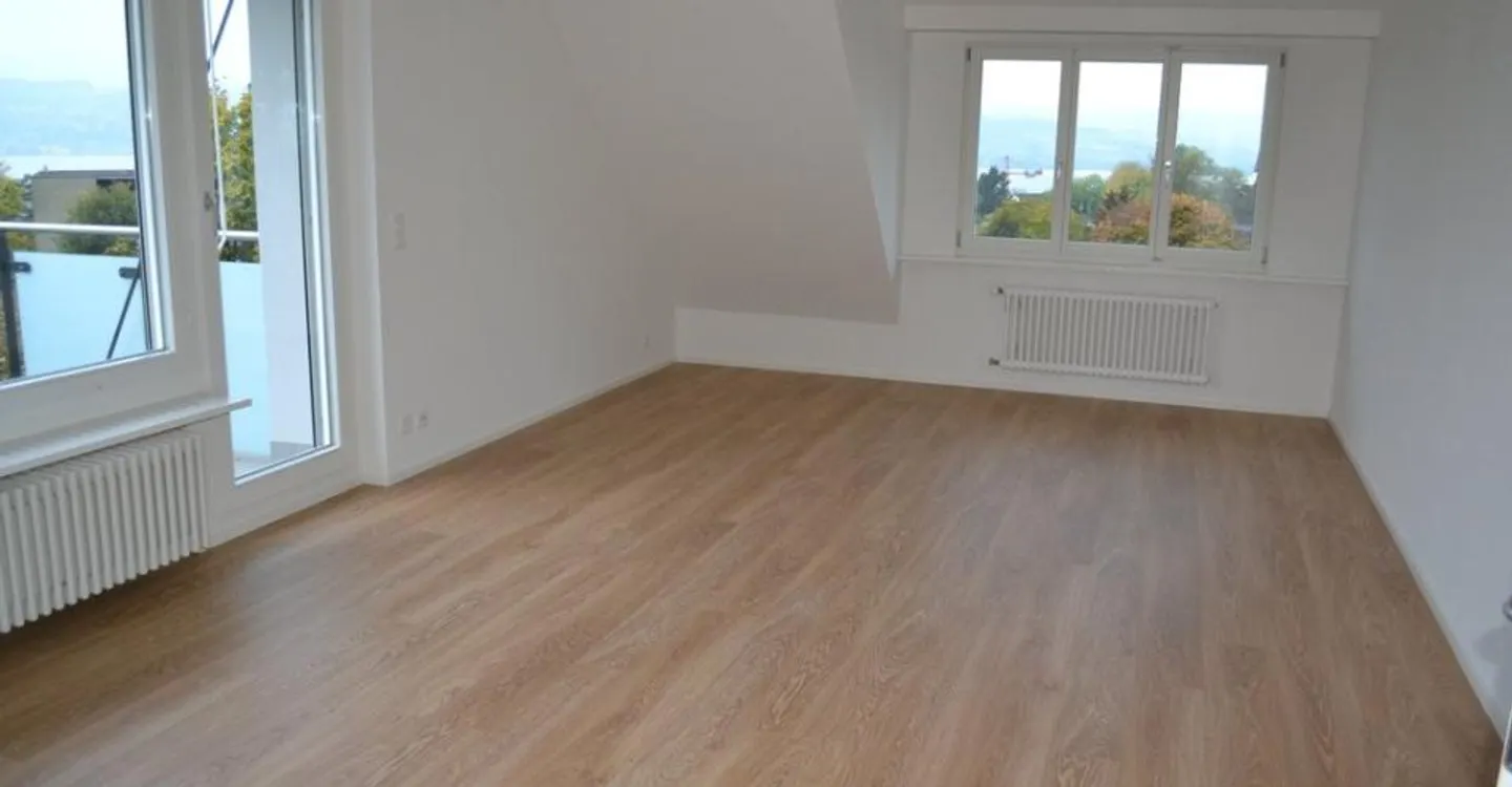 Appartamento moderno con vista sul lago di Zurigo - Foto 5 di 7