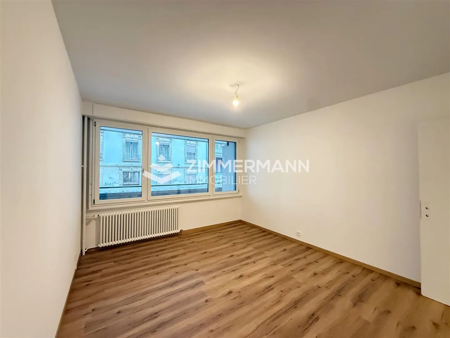 Commercial Space in Eaux-Vives - Photo 3 of 4