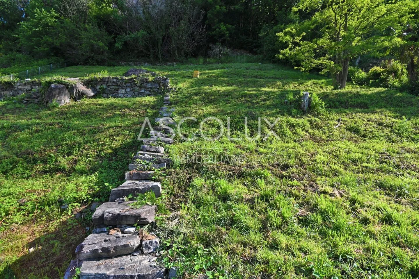 Terrain constructible à vendre - Photo 7 sur 9