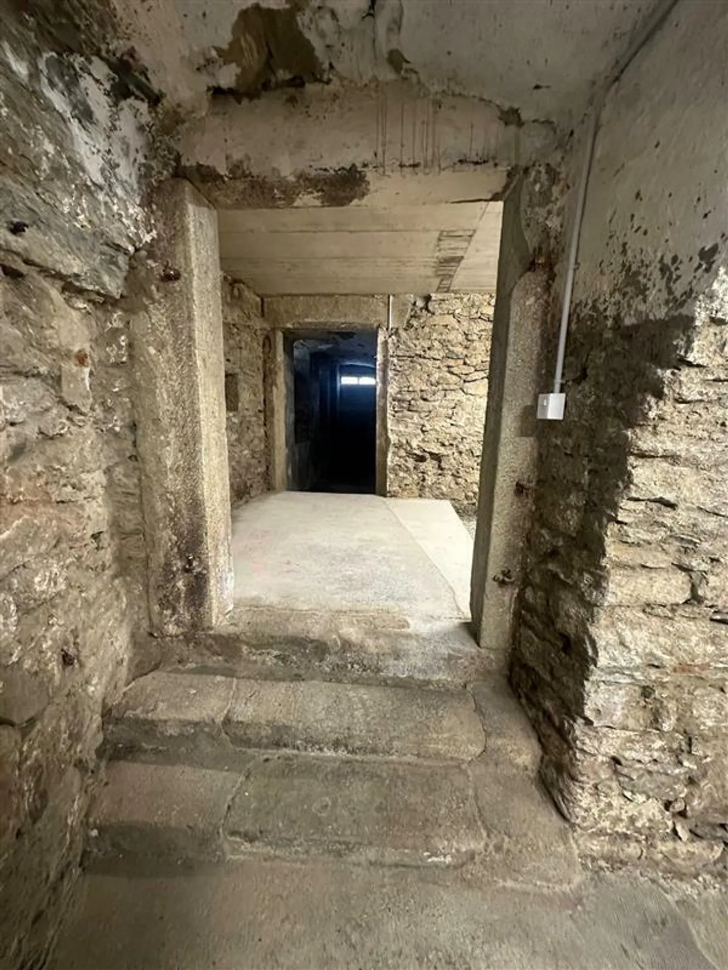 Spacious Natural Cellar - Photo 4 of 7