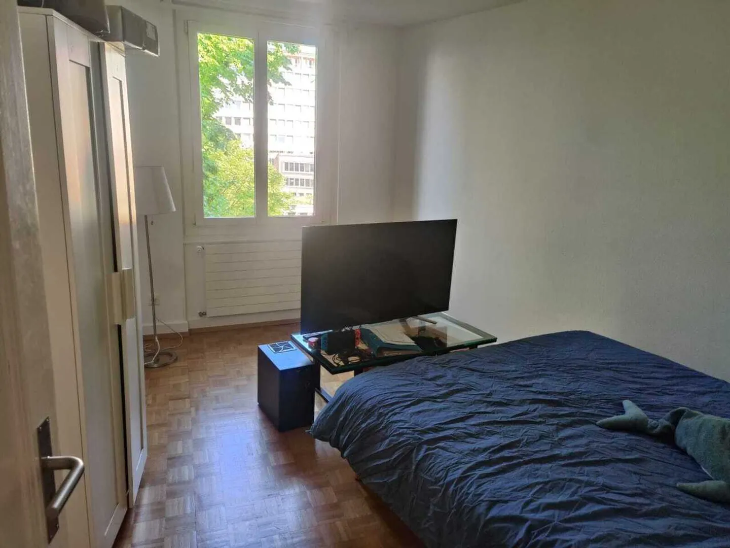 Charmante Wohnung in Lausanne - Foto 9 von 10