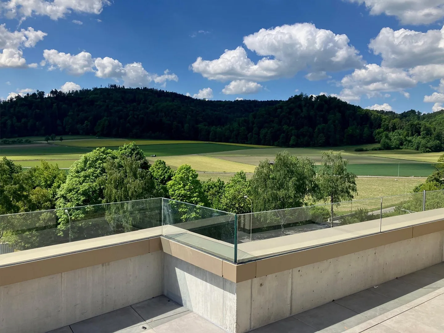 Jetzt besichtigen! - Letzte 2.5 Zimmer Attika mit grosser Terrasse! - Foto 1 di 13