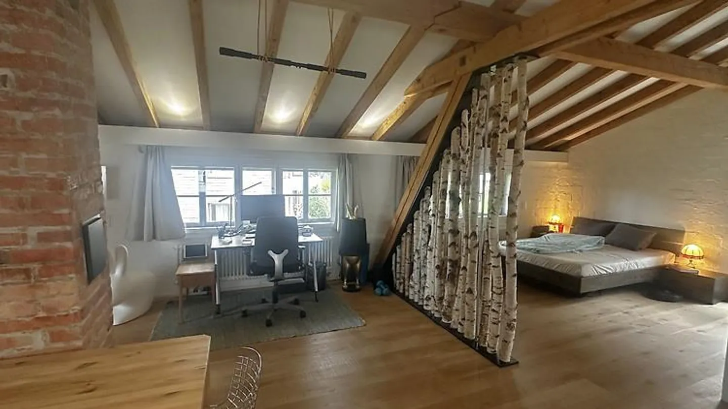 LOFT IN OBERWIL B. ZUG (ZG), FURNISHED, TEMPORARY - Photo 1 of 8