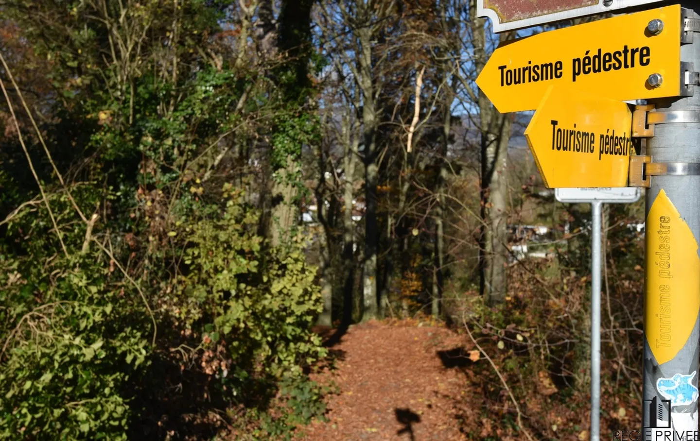 DAS PRIVILEG, IN NEUEN ZU LEBEN! Attraktive Penthouse ZUM VERKAUF IM VORVERKAUF - Foto 9 von 13