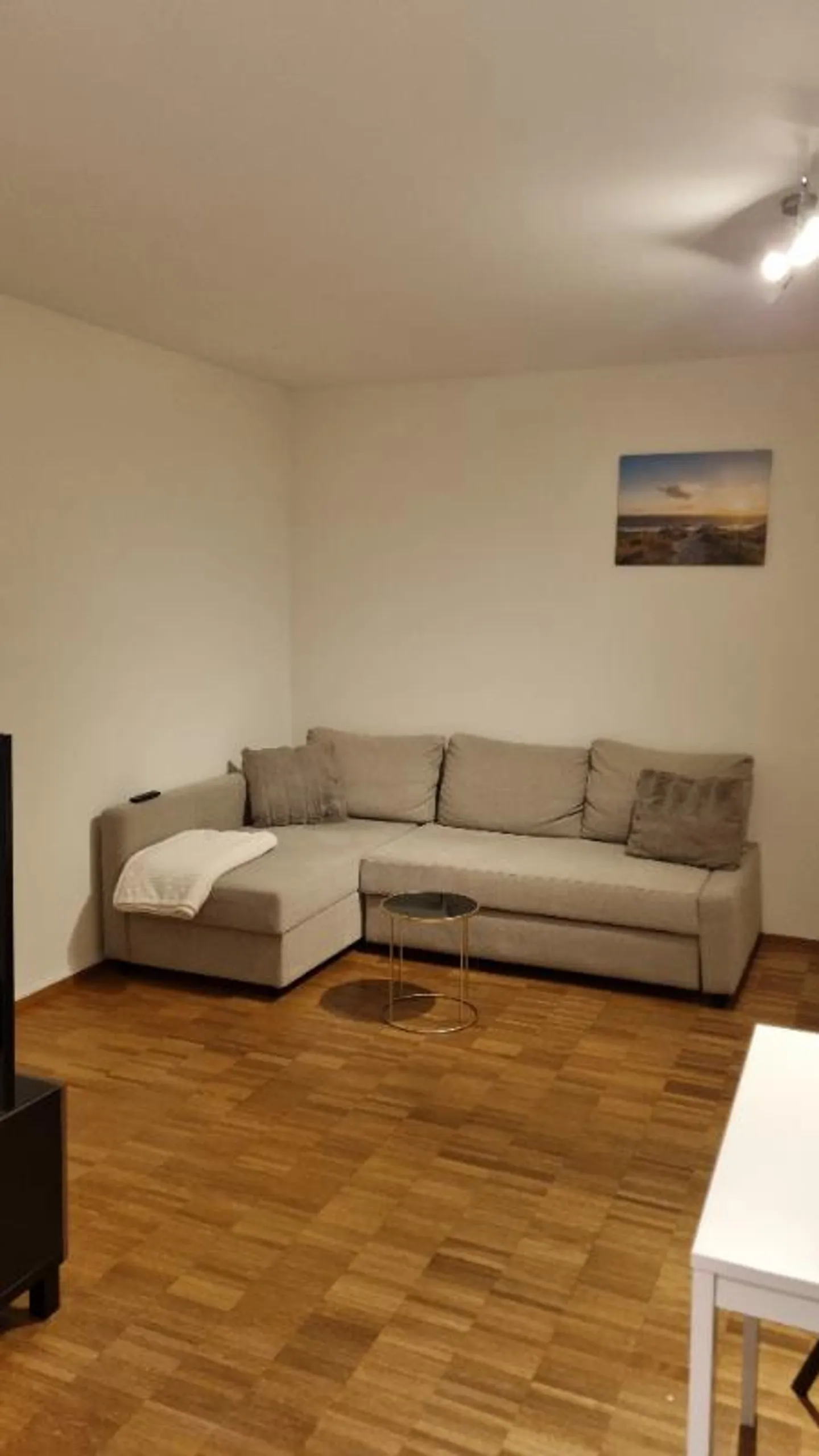 3.5 Room Apartment - Photo 2 of 4