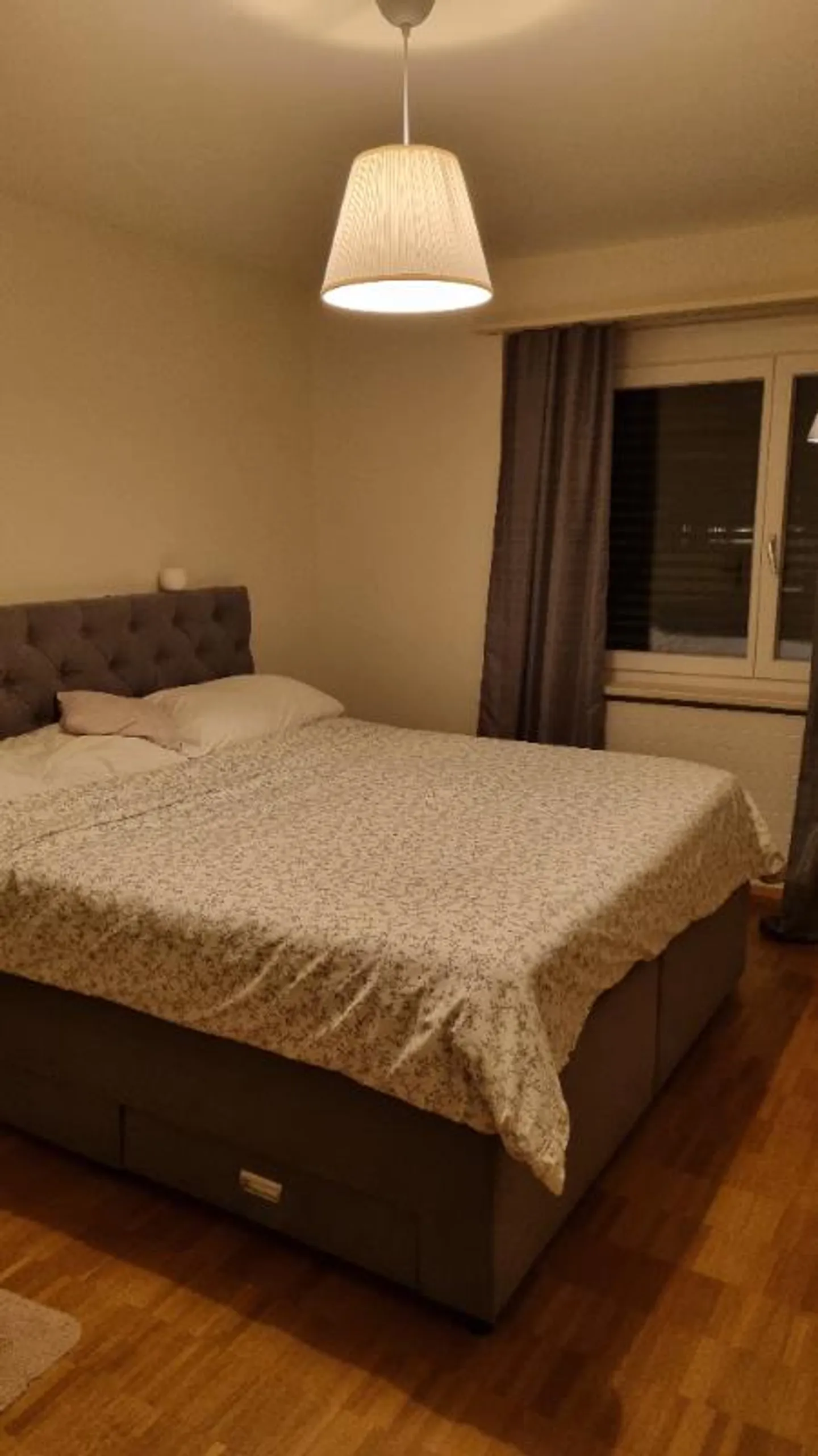 3.5 Room Apartment - Photo 3 of 4