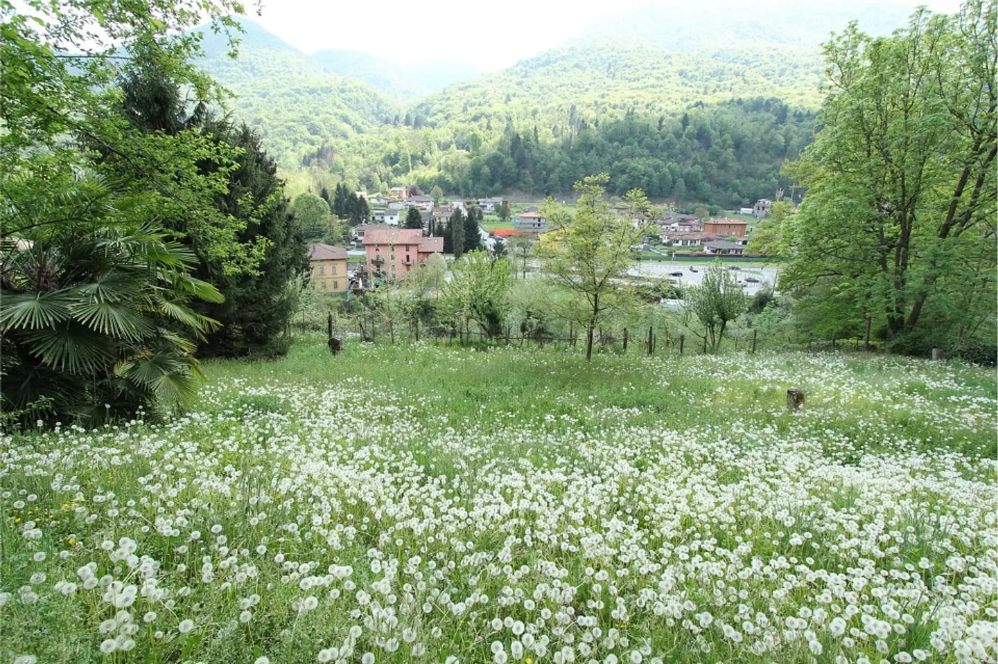 Interessantes Baugrundstück mit großem Potenzial - Foto 9 von 13