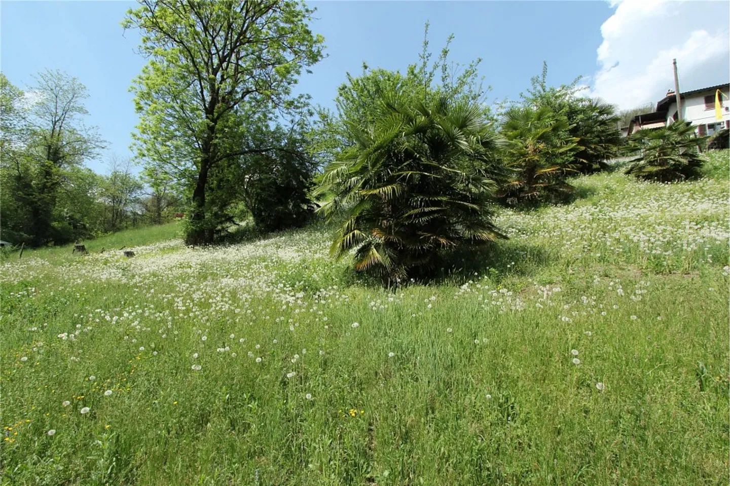 Interessantes Baugrundstück mit großem Potenzial - Foto 11 von 13