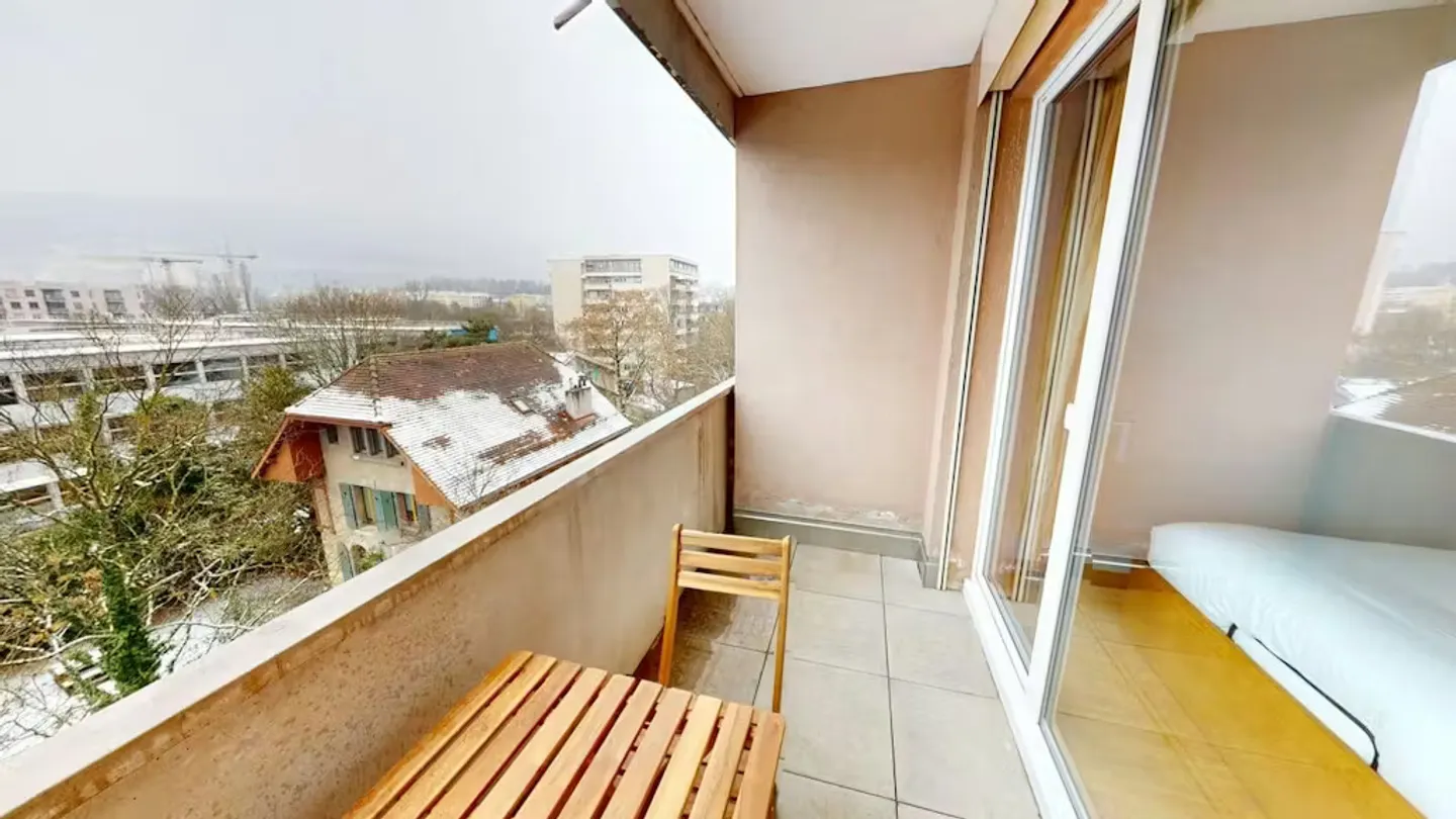 Charming Geneva Apartment - Photo 6 of 10