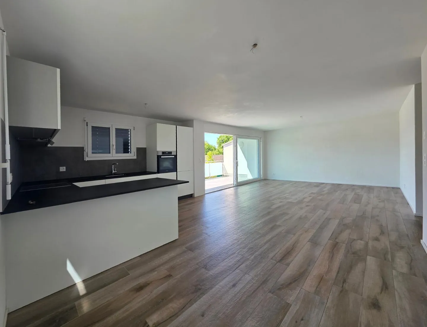 Charming Apartment in Vaud Countryside - Photo 1 of 7
