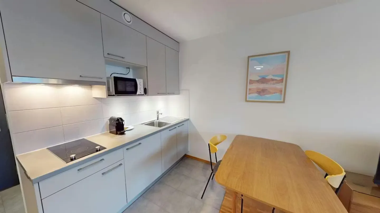 Charming Geneva Apartment - Photo 8 of 10