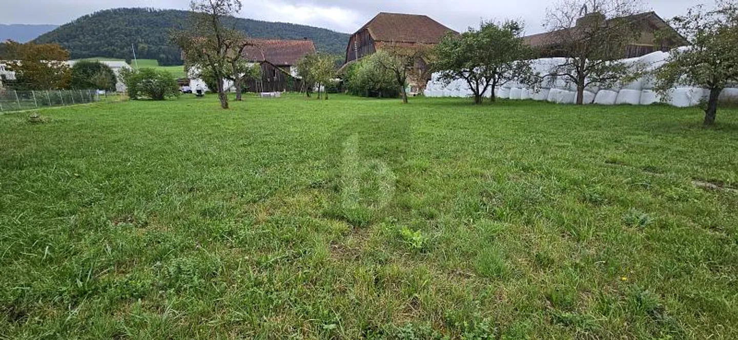 Terrain Idéal pour Villas - Photo 3 sur 6