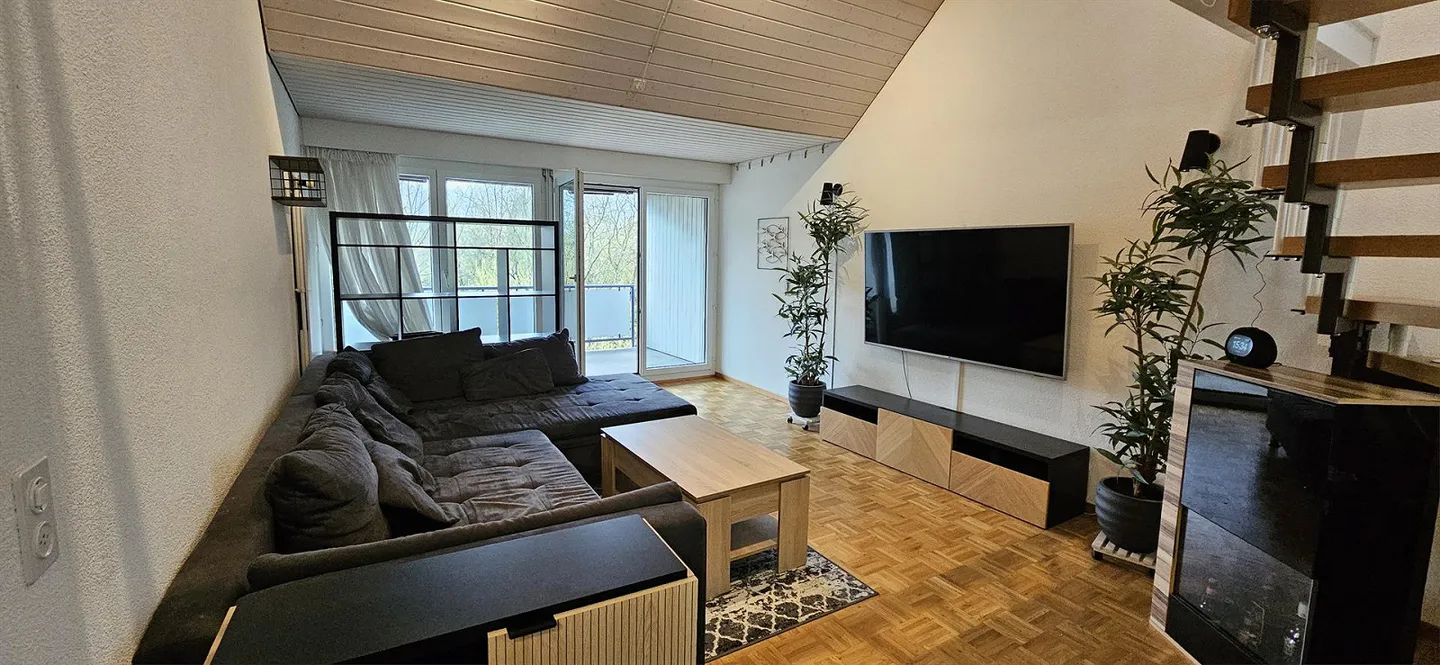 Spacious & Affordable Attic Apartment with Gallery in Winterthur - Photo 1 of 9