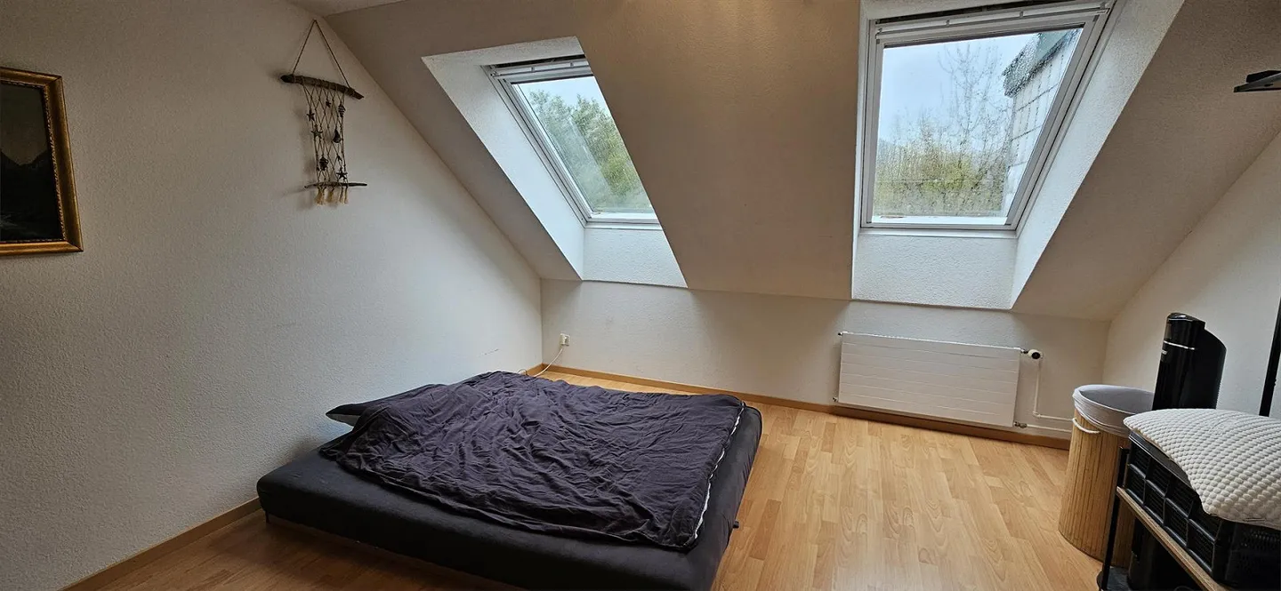 Spacious & Affordable Attic Apartment with Gallery in Winterthur - Photo 8 of 9