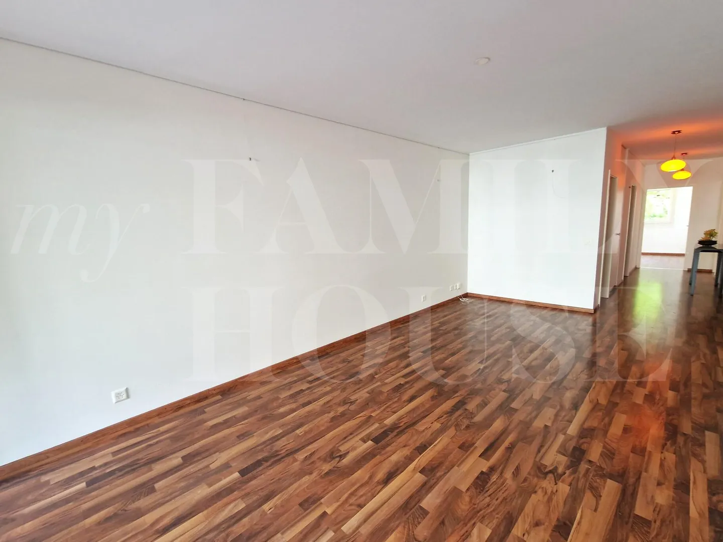 Bellissimo appartamento di 4 stanze vicino alle Organizzazioni Internazionali - Foto 3 di 6